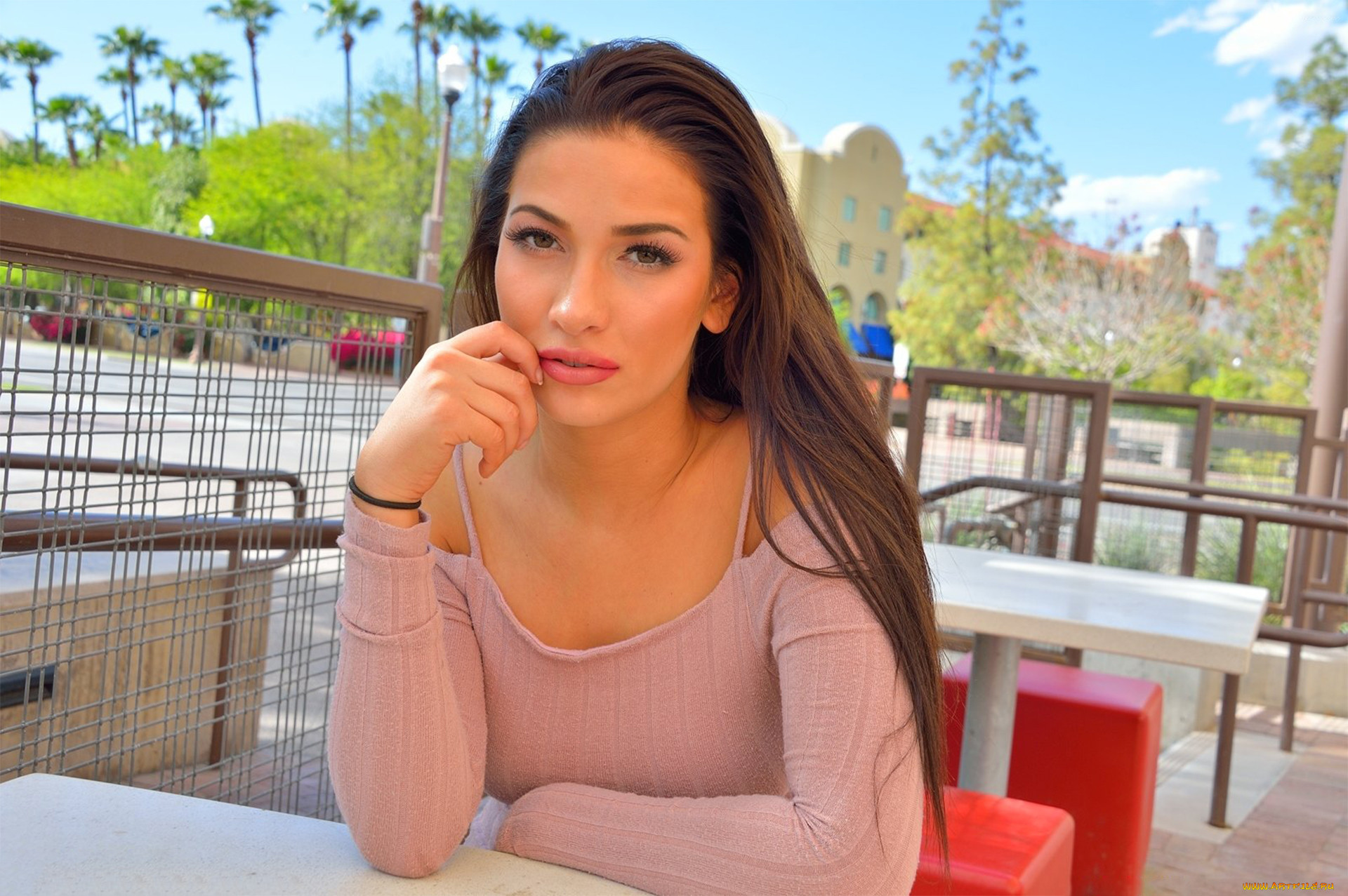 , , -unsort , , , olivia, nova, 